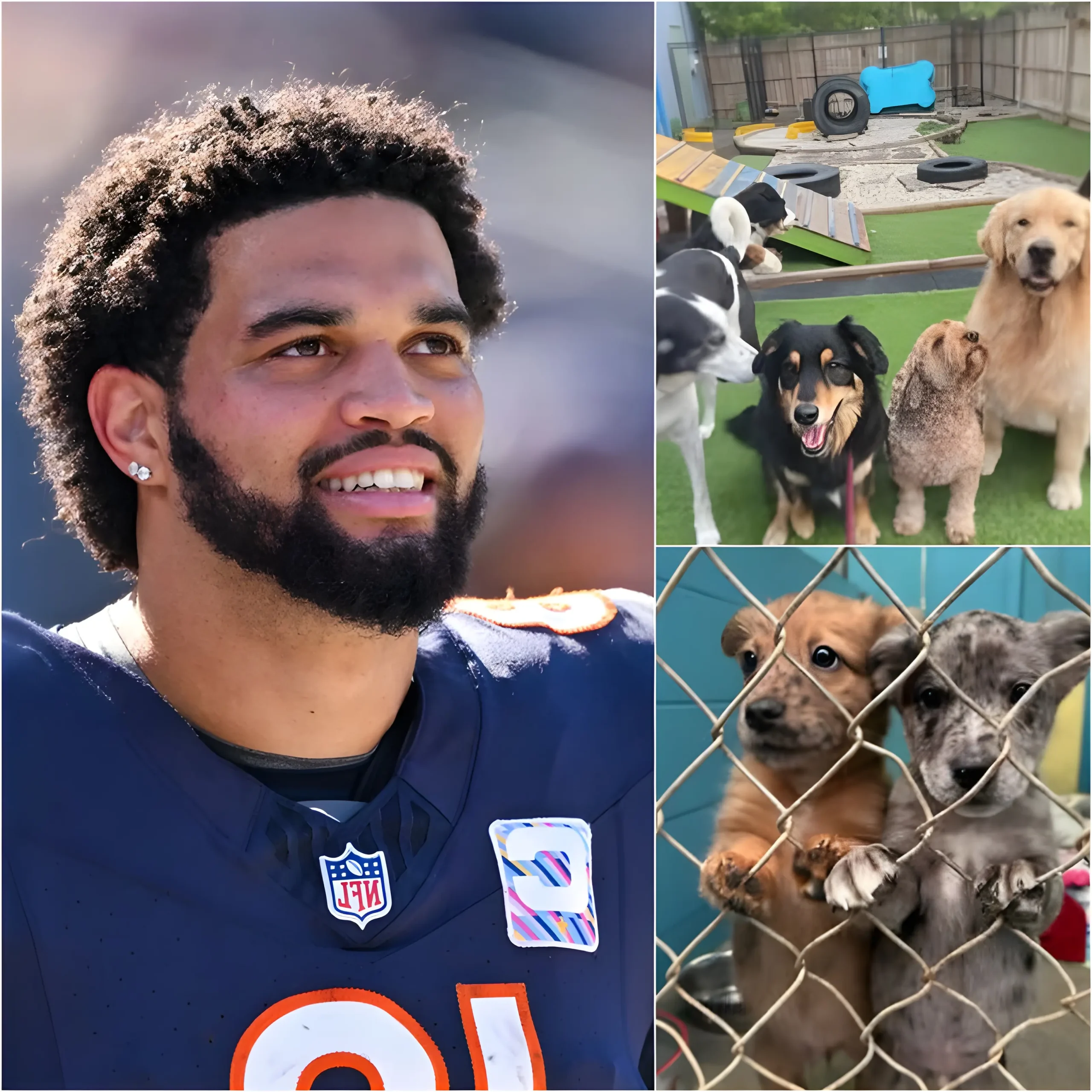 Cover Image for Caleb Williams is building Dogtopia—a 6-acre, $5 million facility near Bologna for abused and abandoned dogs. “It’s more than just a shelter,” he says. “We provide training, water play, 24/7 veterinary care—but most importantly, love. Dogs are family.” Dogtopia aims to become a national model and inspire other athletes to take action.